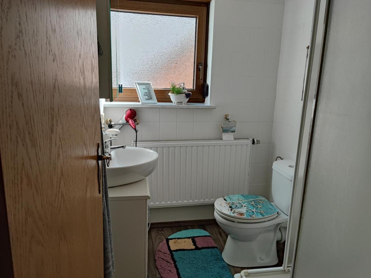 Apartment Entegast Schopfheim Bagian luar foto